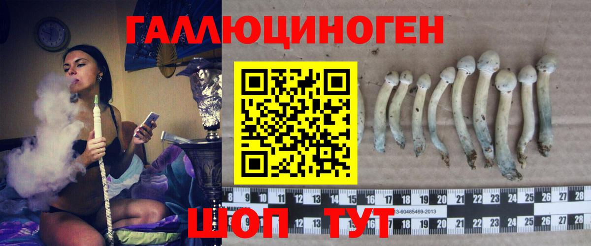 Галлюциногенные грибы прущие грибы Сухой Лог