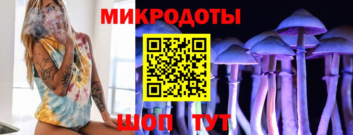 Сухой Лог  хочу наркоту  Вход с VPN  Псилоцибиновые грибы ЛСД 